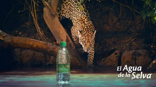 El Agua de la Selva suma su frescura al Makerland 2023 (promoviendo la sustentabilidad ambiental)