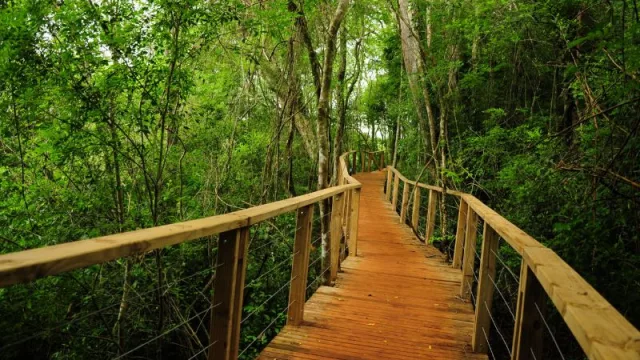 Top 5 de las provincias más elegidas para vacacionar en el 2023 por los argentinos (Misiones, entre ellas)