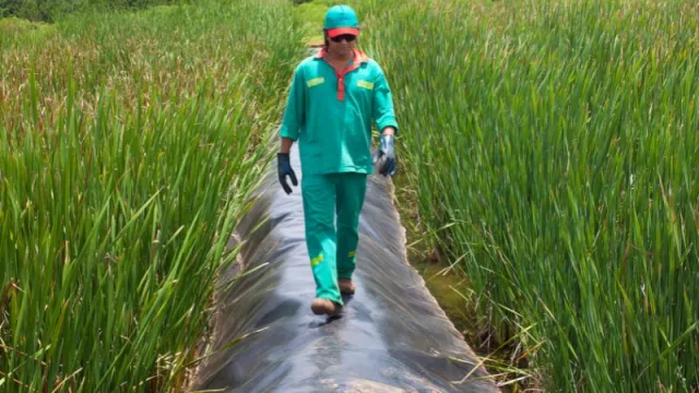 Nuevas soluciones ambientales en Misiones (de la mano de Veolia)