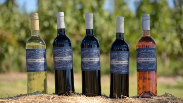 Ricardo Santos, la bodega del “Padre del Malbec” abre sus puertas al turismo