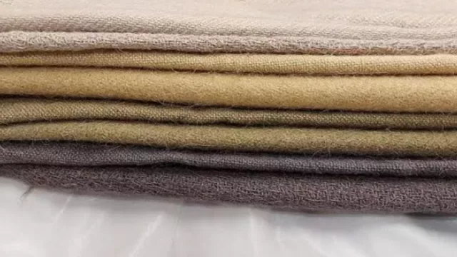 Nueva línea de colorantes naturales fabricados en Formosa (obtenidos de especies locales)