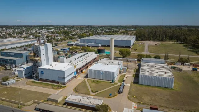 IFF obtiene aprobación para levaduras SYNERXIA® en producción de biocombustibles en Argentina