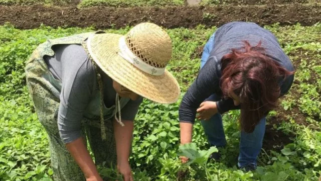 "Emprende Rosa", la nueva herramienta financiera destinada a emprendedoras chaqueñas, productoras y mujeres rurales