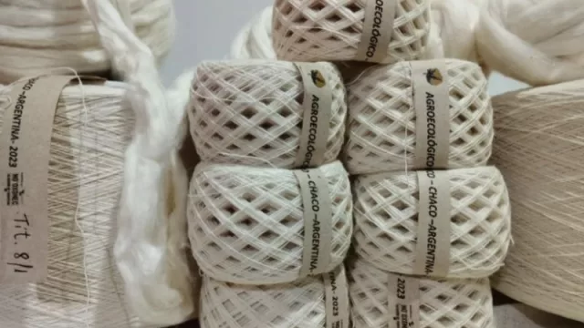 “No'Oxonec - algodón de frontera”, el proyecto agroecológico chaqueño que busca recomponer el sistema productivo