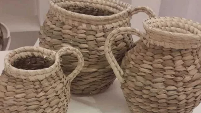 Llega el Día de los Emprendedores Chaqueños (y una jornada de capacitación para acompañarlos)