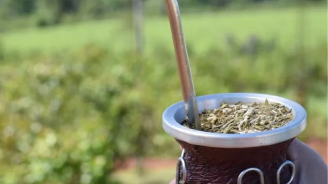 Corrientes y Misiones en alerta por la importación de yerba