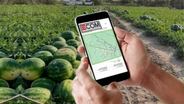 Atención comerciantes, emprendedores y productores chaqueños: nace una nueva plataforma de compra y venta en línea para productos locales