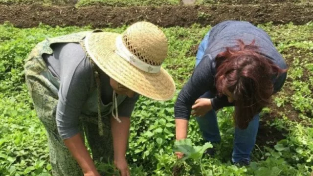Apostando fuerte: las mujeres cada día más comprometidas con el campo