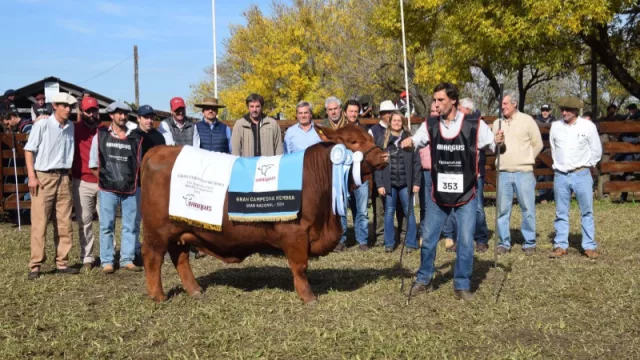 Corrientes se destacó en genética y desarrollo en concurso Nacional de Razas
