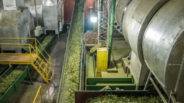 Con una inversión de 1.500 millones de pesos, la Cooperativa Yerbatera Dos de Mayo estrenará un nuevo secadero de yerba mate