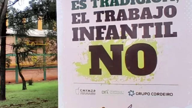 Empresas yerbateras dan un gran paso hacia la certificación de gestión social (en la lucha contra el trabajo infantil)