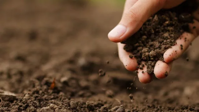 ¿Oportunidad exportadora sustentable? (Cooperación internacional y trabajo conjunto con la Unión Europea)