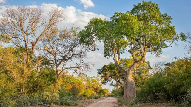 Alianza Agua Segura llevará agua para consumo a "El Impenetrable Chaqueño"