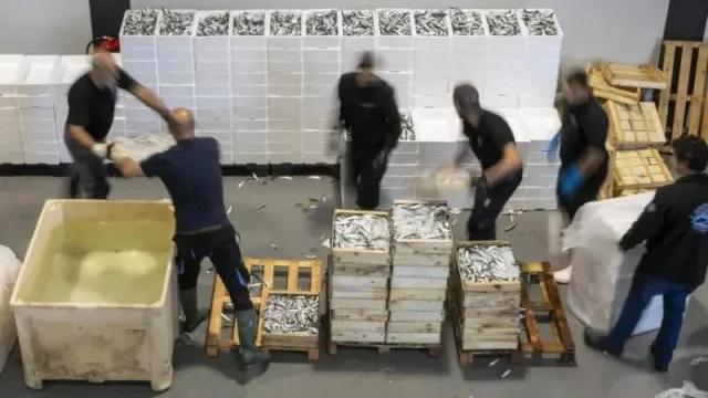 Cataluña alcanza niveles de récord en el empleo (con más de 3.8 millones de personas trabajando)