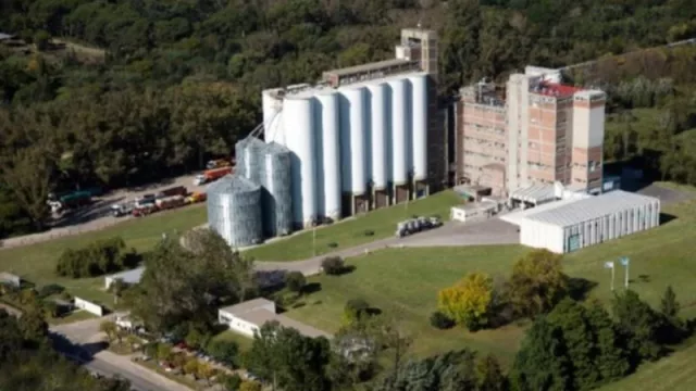 Genneia venderá energía verde a la empresa Molino Argentino