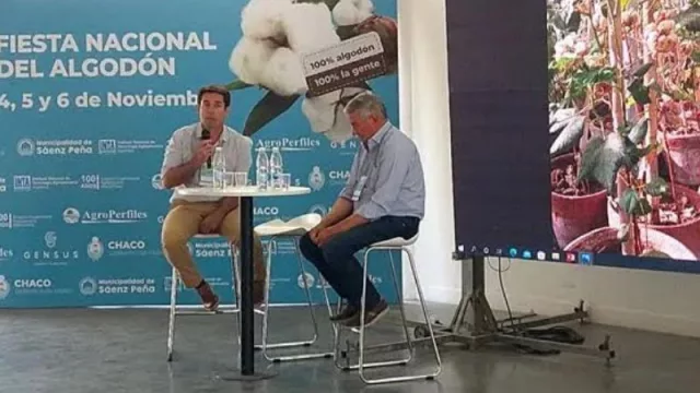 ¿Conocés los principales desafíos del cultivo del algodón? Aprendé todo en la Fiesta Nacional 2024 (de la mano de Grupo Agroperfiles)