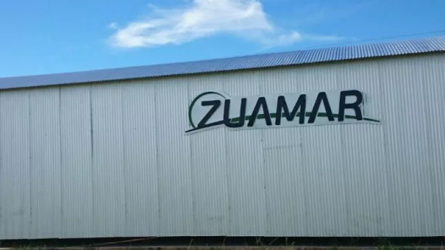 Corrientes aumenta su potencial industrial con una nueva planta de pallet (con generación de energía verde no contaminante)