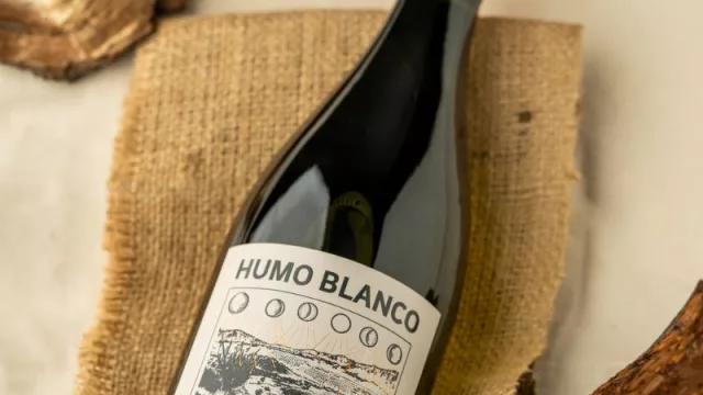 Bodega Piedra Negra celebra el Día del Vino Chileno con una copa de Humo Blanco Sauvignon Blanc Organic 2023
