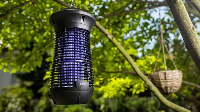 Una verdad que pica: ¿funcionan las lámparas UV contra el mosquito del dengue? (qué opinan los expertos)