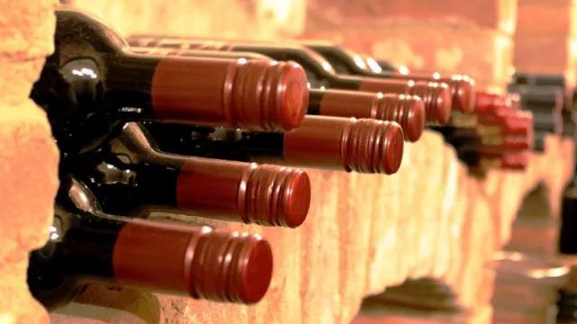 Las Bodegas Sottano, Colosso y Sin Reglas brillan en Descorchados 2025