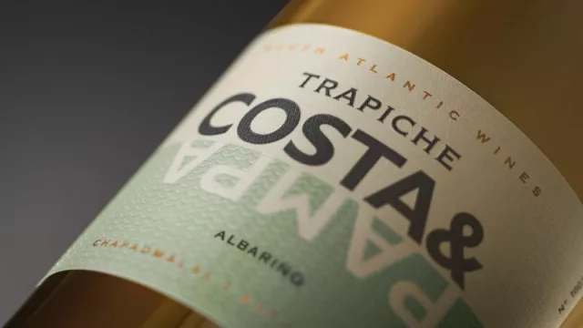 Bodega Trapiche Costa & Pampa: una década de innovación y calidad en la viticultura Atlántica