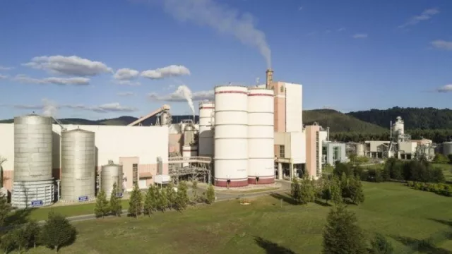 Arauco impulsa la energía renovable en Misiones con una millonaria inversión