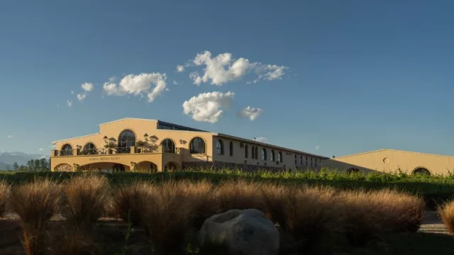 Bodega Piedra Negra acompaña su producción vitivinícola con buenas prácticas sustentables