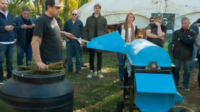 El Alto Valle procesó su primer cultivo de cáñamo industrial (y abre una nueva etapa agroindustrial)