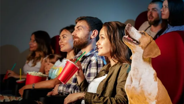 El cine se vuelve pet friendly (película, pochoclos y patitas)