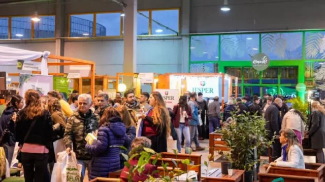 Negocios, cultura y turismo en una taza de té (el té argentino pisa fuerte en Misiones)