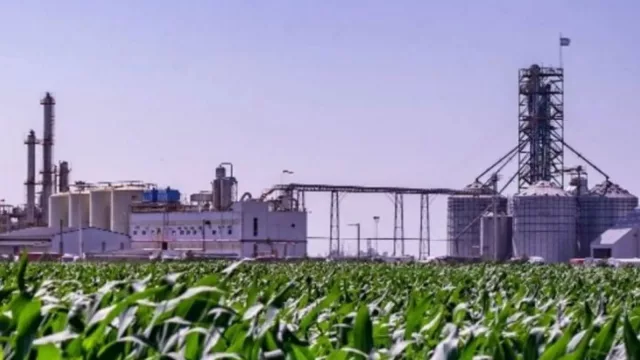 Tucumán se suma al pedido por una nueva ley de biocombustibles: “Donde haya maíz, puede haber industria”