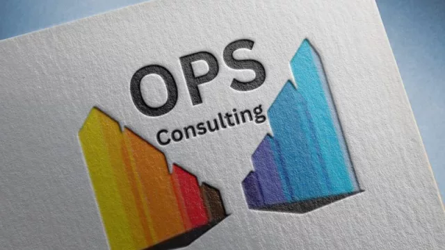 OPS Consulting redobla su apuesta en Charata (nuevas oportunidades de inversión en Agronea 2025)