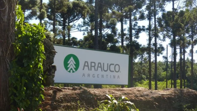 Modelo inclusivo para potenciar capital humano (la apuesta estratégica de Arauco en el sector forestal)
