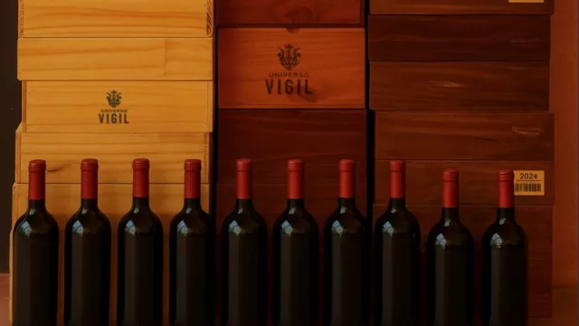 Feria de Garage: una experiencia de compra distinta, cercana y con el sello del profesional equipo de Vigil