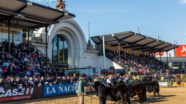 Chaco muestra músculo productivo en la Rural de Palermo (resiliencia, genética de élite y apuesta al mercado interno)