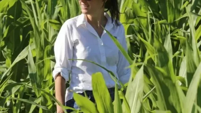 Un spray “made in Salta” que protege el maíz y rinde más (la científica detrás y su agrotech que ya pisa EE.UU.)