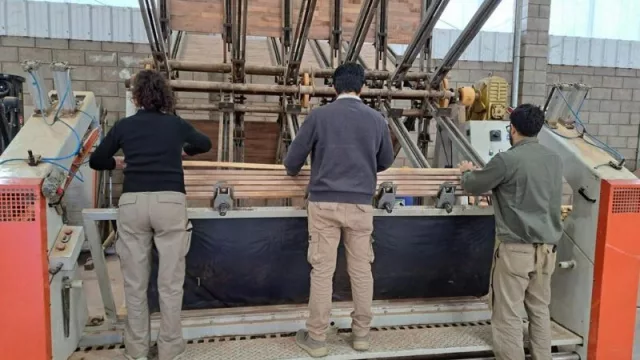 Industria forestal: desarrollan nuevos tableros a partir de residuos madereros con alto potencial comercial