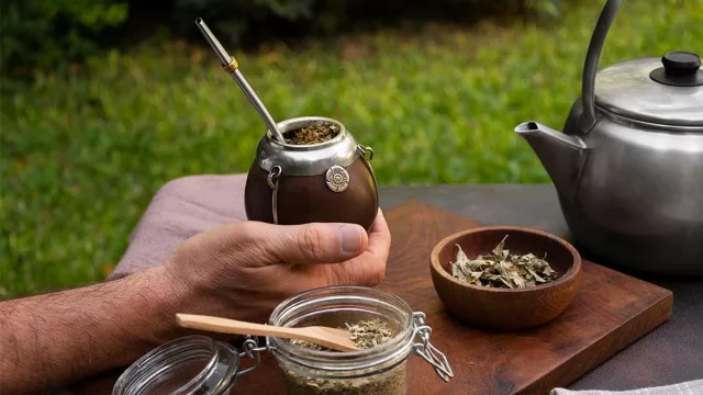 Yerba mate y blockchain: un puente entre tradición y tecnología (tokenización como innovación disruptiva en la agroindustria)