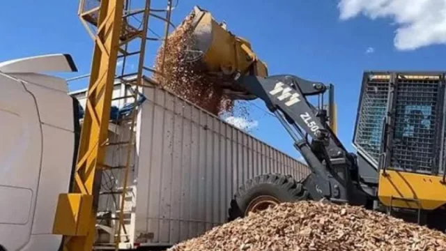 El futuro verde del Chaco: cómo el biochar puede dinamizar la economía regional