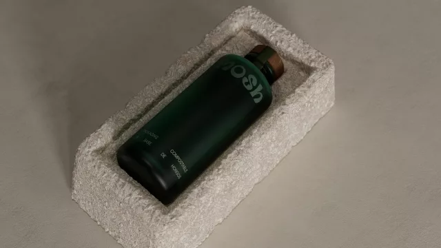 Mosh: la startup argentina que innova en packaging hechos de hongos (envases que se cultivan y se reintegran al suelo)