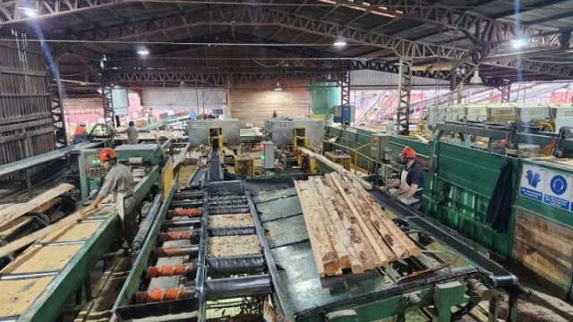 De la yerba mate a la madera: Las Marías fortalece su unidad forestoindustrial (invierte ocho millones de dólares para modernizar su planta)