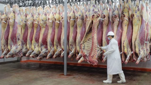 Sector cárnico chaqueño proyecta cambios de consumo para fin de año (carne más cara, menor demanda y foco en cortes económicos)