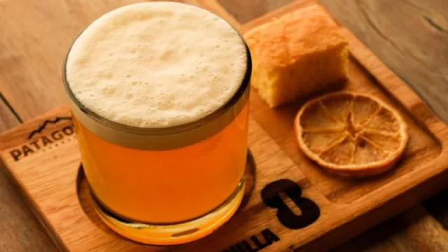 Cerveza Patagonia lanza Limón Silvestre, un postre hecho cerveza (innovación, experiencia sensorial y presencia en refugios clave de Resistencia, Posadas y Puerto Iguazú)