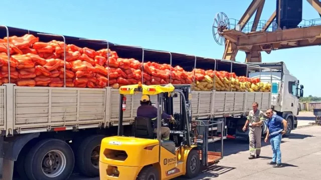 Castelli coloca su primera carga de zapallo en Uruguay (nueva demanda, logística consolidada y proyección internacional)