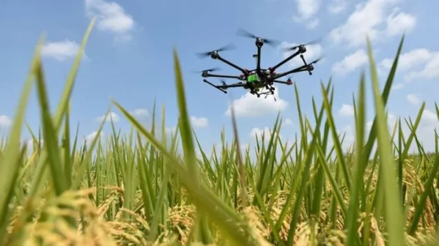 Drones, biotecnología y carbono: el nuevo modelo de reforestación que avanza en Chaco y Formosa (innovación, inversión y sustentabilidad)