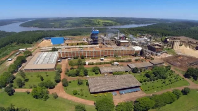 Papel Misionero celebra 50 años (impacto económico, innovación y sostenibilidad desde Misiones al mundo)