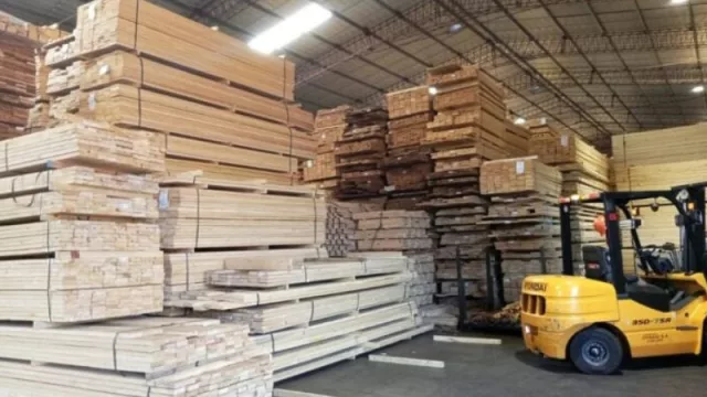 NEA proyecta un 2026 de crecimiento basado en innovación (la forestoindustria y la apertura al mercado externo como ejes estratégicos)