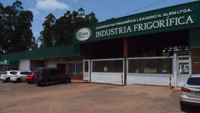 Cofra impulsa la modernización de su producción porcina con genética de élite (busca mejorar eficiencia, calidad de carne y expansión)