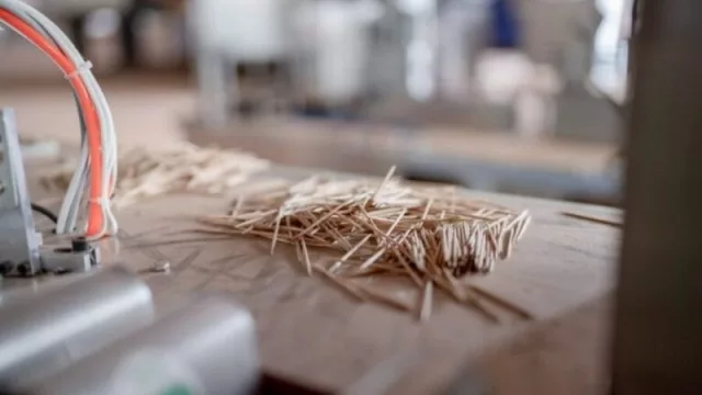 Industria del bambú con valor agregado (inversión extranjera, empleo y perfil exportador en Misiones)