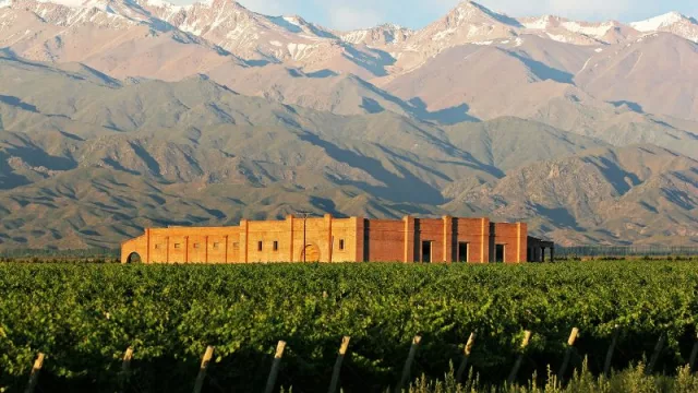 Enoturismo en Mendoza: Andeluna ofrece la Magia del Vino y la Montaña